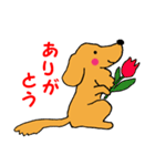 シンバはごきげんさん（個別スタンプ：5）