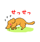 シンバはごきげんさん（個別スタンプ：21）