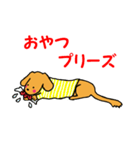シンバはごきげんさん（個別スタンプ：31）