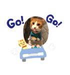 にゃんにゃんファミリー3（個別スタンプ：10）