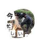 バイク仲間（個別スタンプ：4）