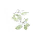 賛美花（個別スタンプ：5）