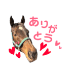 馬のスタンプ(キョウワダッフィー)（個別スタンプ：9）