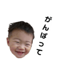 ちゅんまる（個別スタンプ：15）