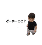 ちゅんまる（個別スタンプ：16）