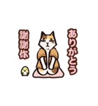 Cat's grumble-Moving version（個別スタンプ：21）