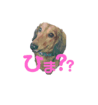 ひゅうがの苺①（個別スタンプ：11）