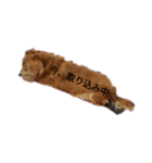 ミニチュアダックスフンドの気持ち（個別スタンプ：9）
