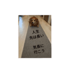 ミニチュアダックスフンドの気持ち（個別スタンプ：11）