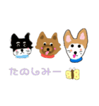 ちわわのポッキー（個別スタンプ：19）