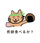 意味不明なねこ（個別スタンプ：1）