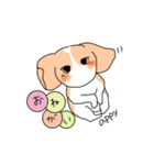 ビーグルのあっぴぃ（個別スタンプ：2）