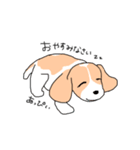 ビーグルのあっぴぃ（個別スタンプ：3）