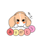 ビーグルのあっぴぃ（個別スタンプ：14）