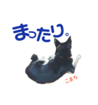 黒柴犬こまちの生活（個別スタンプ：5）