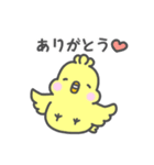 ぴよりんちょスタンプ 使いやすいピヨ（個別スタンプ：1）