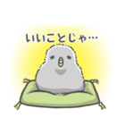 ぴよりんちょスタンプ 使いやすいピヨ（個別スタンプ：30）