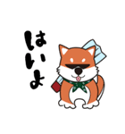 シバく犬（個別スタンプ：1）