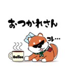 シバく犬（個別スタンプ：4）