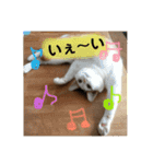 ニャックと申します。（個別スタンプ：18）