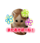 ニャックと申します。（個別スタンプ：20）