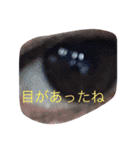 たぶあつ なスタンプ 二弾（個別スタンプ：12）