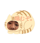 たぶあつ なスタンプ 二弾（個別スタンプ：26）