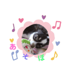 チョコたんのスタンプ パート2（個別スタンプ：3）