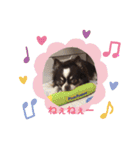 チョコたんのスタンプ パート2（個別スタンプ：13）