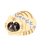 チョコたんのスタンプ パート2（個別スタンプ：32）