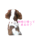 casval＆luire（個別スタンプ：1）