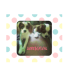casval＆luire（個別スタンプ：8）