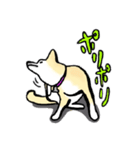 Lovely merry（個別スタンプ：16）