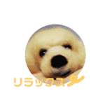 おしゃべりプ～イ（個別スタンプ：2）