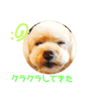 おしゃべりプ～イ（個別スタンプ：3）