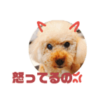 おしゃべりプ～イ（個別スタンプ：6）