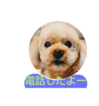 おしゃべりプ～イ（個別スタンプ：9）