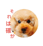 おしゃべりプ～イ（個別スタンプ：18）