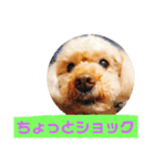 おしゃべりプ～イ（個別スタンプ：23）