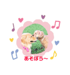 ニコの友達プードルのココアちゃん（個別スタンプ：7）