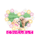 ニコの友達プードルのココアちゃん（個別スタンプ：26）