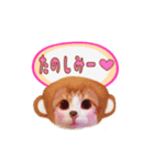 さえぱとスタンプ（個別スタンプ：6）