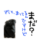 ハムすたンプ その③(ときどき丁寧編)（個別スタンプ：16）