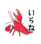 津軽弁ザリガニちゃんスタンプ（個別スタンプ：31）
