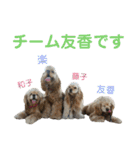 チーム友香 2（個別スタンプ：1）
