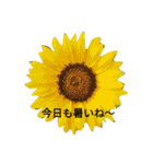 写真で伝える日常会話（個別スタンプ：9）