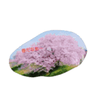 写真で伝える日常会話（個別スタンプ：14）