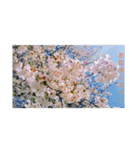 写真で伝える日常会話（個別スタンプ：16）