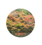 写真で伝える日常会話（個別スタンプ：20）