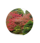 写真で伝える日常会話（個別スタンプ：21）